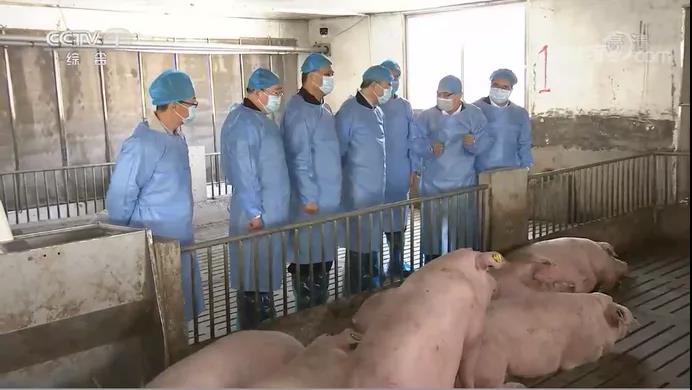 　胡春华在多省实地督导生猪生产