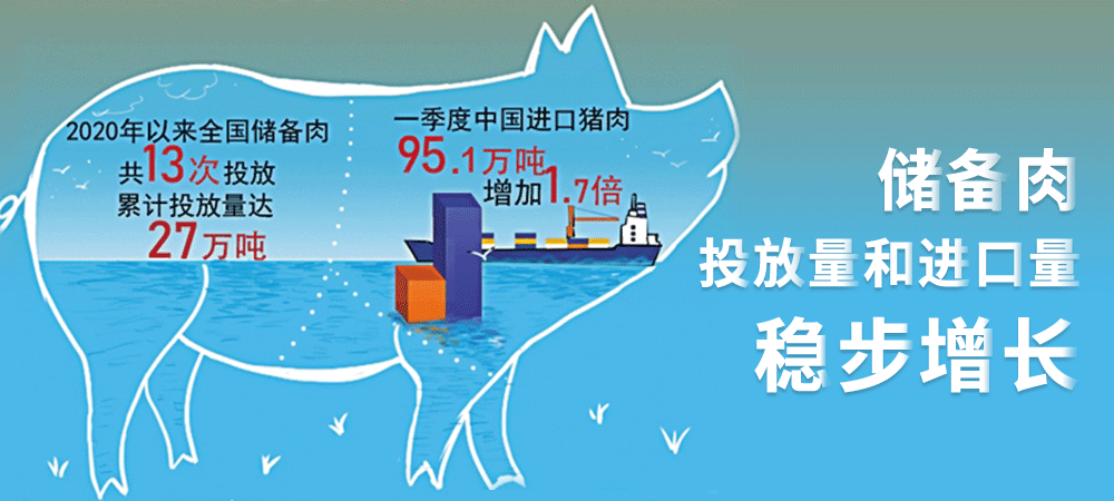 猪肉价格连跌7周！大口吃肉实现了吗？