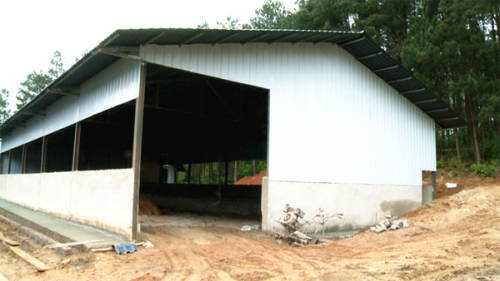 贵州瓮安县年出栏30万头生猪养殖基地一期工程将完工
