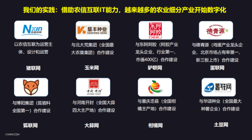 农业产业数字化