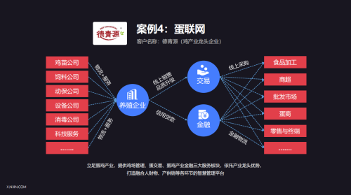 蛋联网