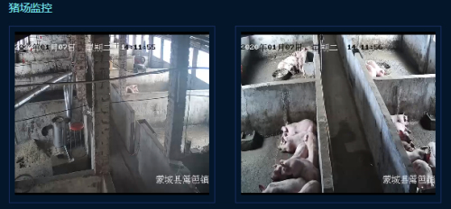 猪场监控