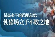 邵国青：最高水平的管理态度 使猪场立于不败之地