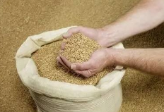 5月3日全国豆粕价格行情表，总体以下跌为主，下跌多集中在北方！