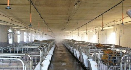 200头能繁母猪养猪场的总体设计规划方案