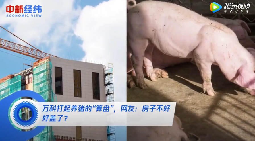 万科打起养猪的“算盘”，网友：房子不好好盖了？