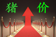 王中 最近为何在加速下跌？分享我的看法！