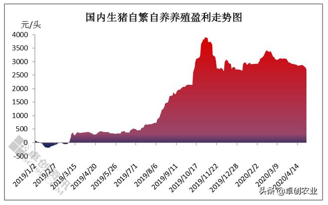 国内自繁自养