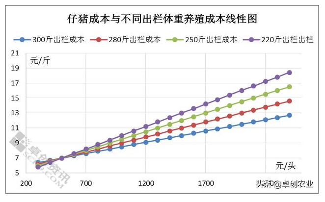 仔猪成本