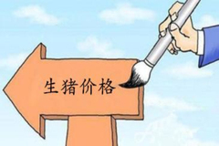 关于猪价的最新观点，希望你能重视