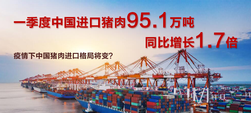 一季度同比增1.7倍，疫情下中国猪肉进口格局将变？