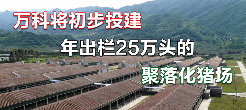 万科要建的聚落化猪场会是个什么样？