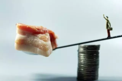 深度剖析：本轮猪价下跌的真正原因！