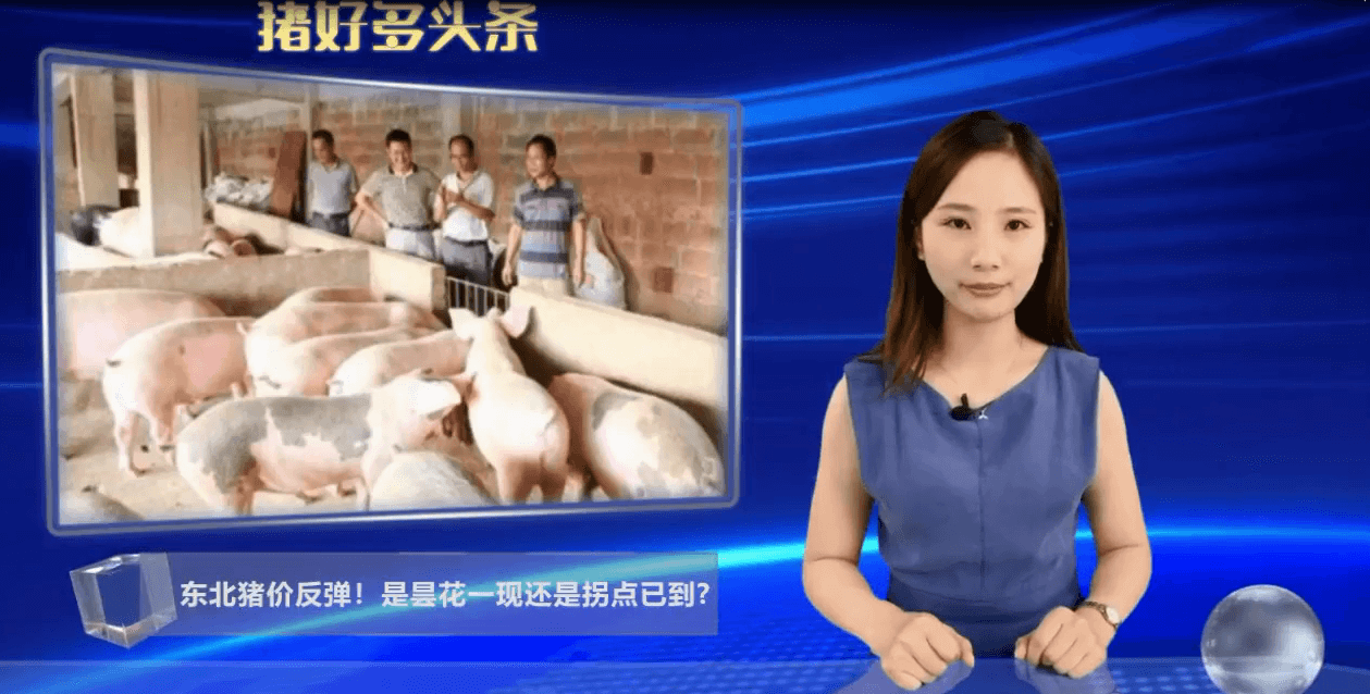 猪价走势：东北猪价大涨1元/斤！短期将出现大面积恢复性反弹！