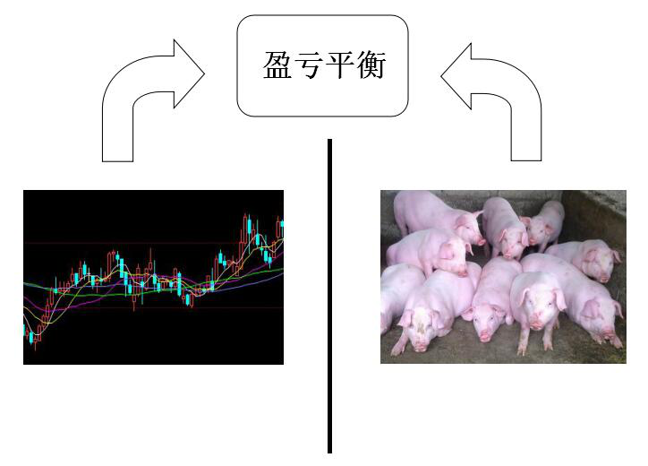 期货市场