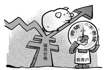 猪价深跌背后猪企拼钱小户拼命