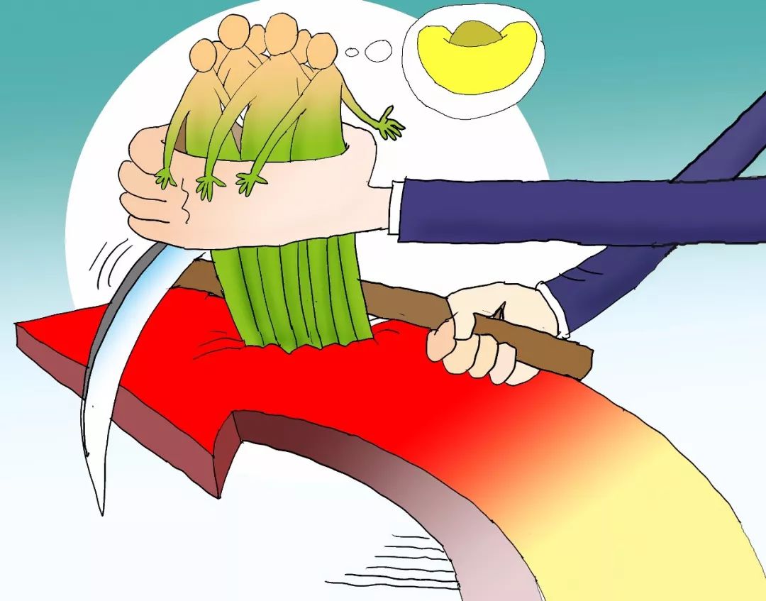 猪价分析的三个层面：这一次是怎么被割韭菜的？
