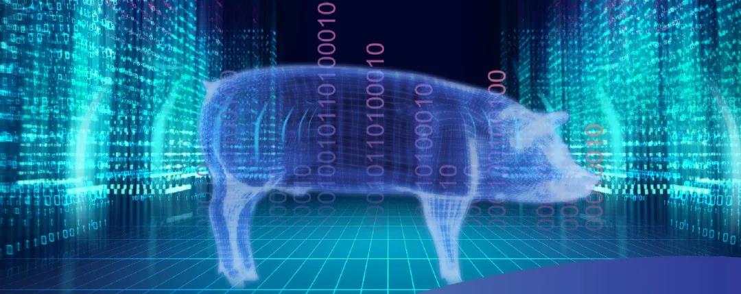 危机下重建的机会 ——2020年中国养猪产业数字化发展报告