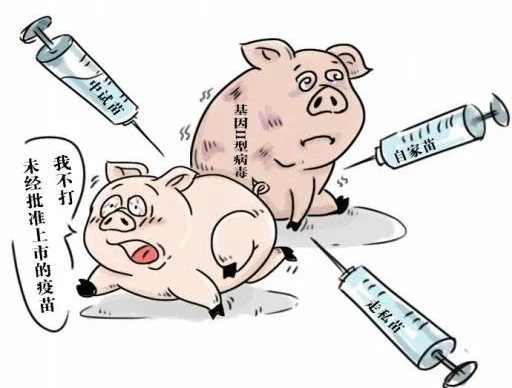 假借上市公司业务员身份卖假非洲猪瘟疫苗，造成上千万元经济损失