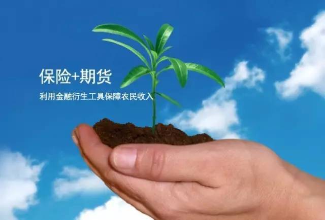 生猪“保险+期货”业务发展可期，为养殖场(户)提供充足的风险保障！