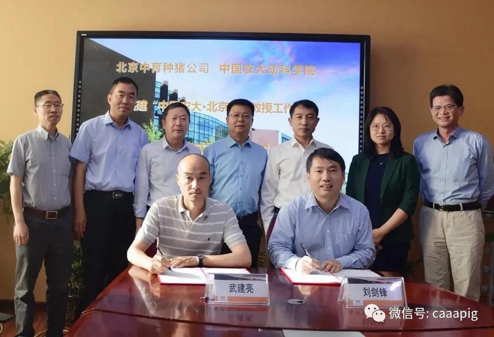 “中国农业大学北京中育教授工作站”成立，推动养猪科技不断进步！