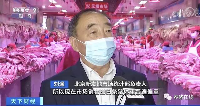 新发地负责人介绍：全国猪肉价格已连续11周下降！