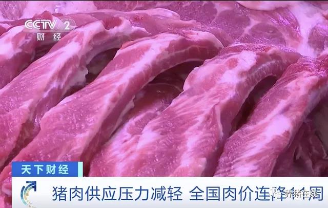 全国猪肉价格