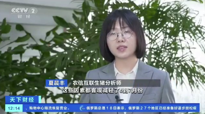 全国猪肉价格