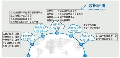 数据应用
