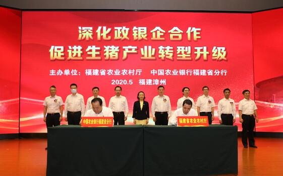 福建：深化政银企合作 促进生猪产业转型升级