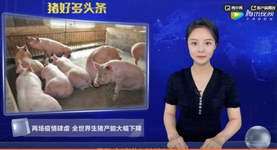  缺猪时代来临！在双疫情影响下，全球生猪存栏量同比减少1.1亿头