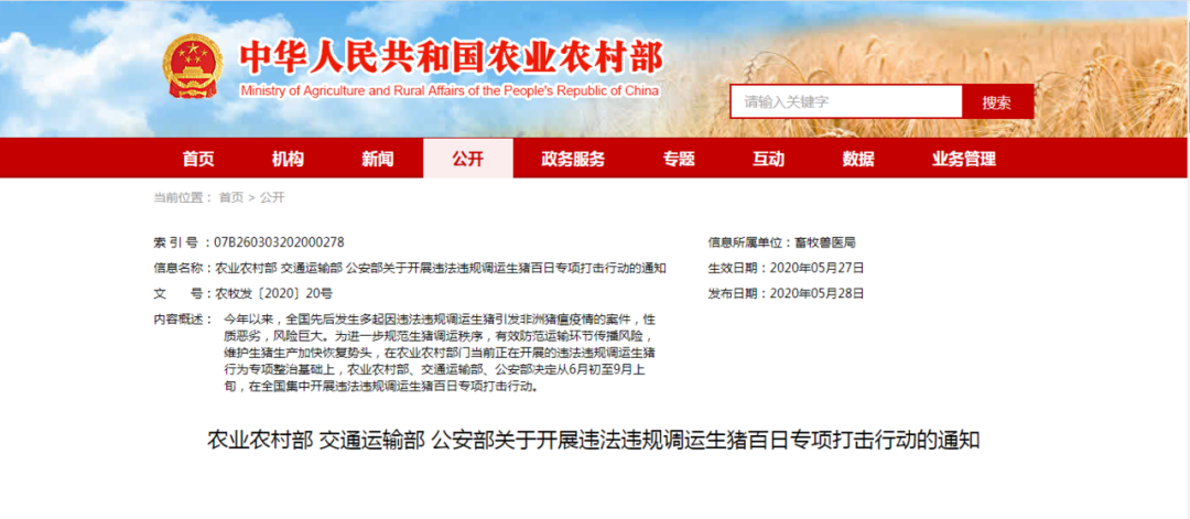 再延长100天！生猪违法违规调运，就一个字：打！