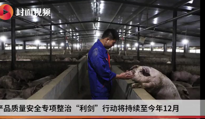 农业农村部部署农产品安全专项整治 重点打击猪肉养殖违法用药