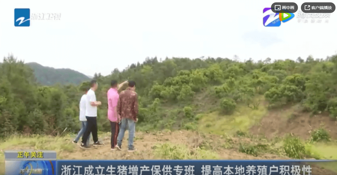 浙江成立生猪增产保供专班 提高本地养殖户积极性