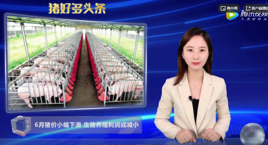  5月自繁自养盈利1500元/头左右，屠宰量下降64%，6月猪价还要跌？