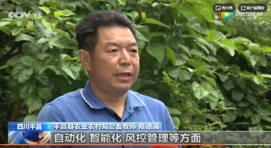 四川平昌：圈舍标准化改造，推动生猪养殖规模化
