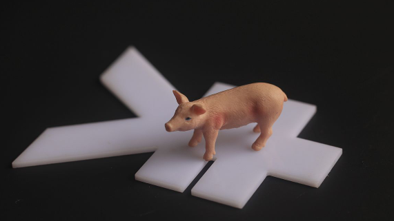 恢复生猪生产需金融和社会资本双管齐下