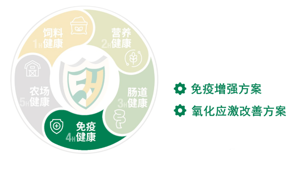 嘉吉5H无抗动物健康解决方案之免疫健康