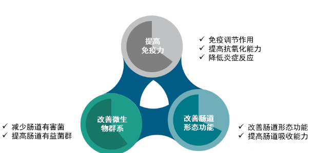 嘉吉5H无抗动物健康解决方案之免疫健康