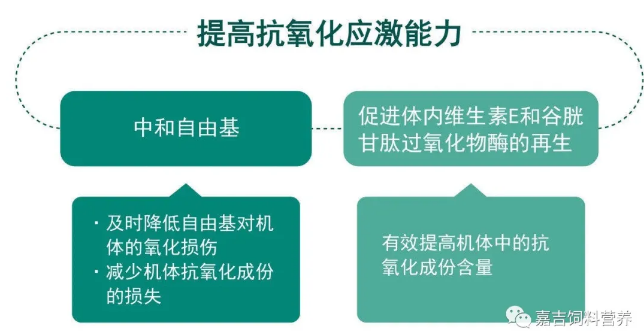饲料无抗
