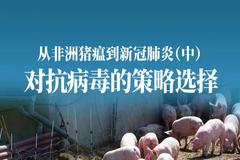 唐朝：从非洲猪瘟到新冠肺炎（中）对抗病毒的策略选择