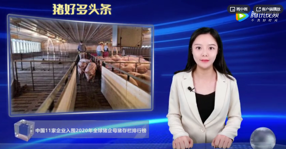  全球猪企母猪存栏排行榜！中国11家企业入榜，温氏世界第一 