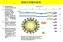养殖场员工感染新冠病毒应如何应急处理？从PED中学到的知识适用于COVID-19