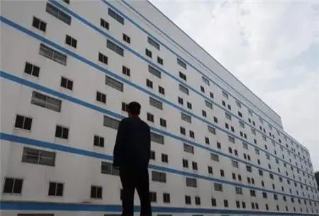 “雨后春笋”！豪华楼房外观背后的技术创新，中国城郊楼房猪场引外媒关注