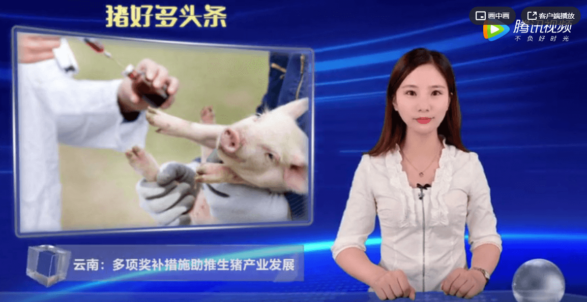 云南：最高一次性奖补300万元，引进一头原种猪奖4000元！