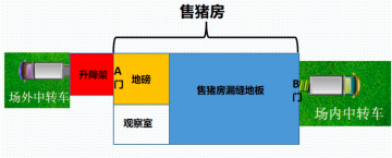 猪场中转售猪房