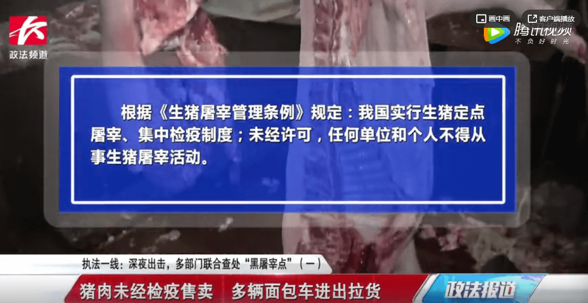 为躲避查处“屠宰点”藏匿民房，每晚屠宰生猪多辆面包车神秘进出