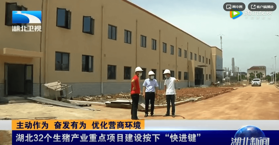 湖北32个生猪产业重点项目建设按下“快进键”