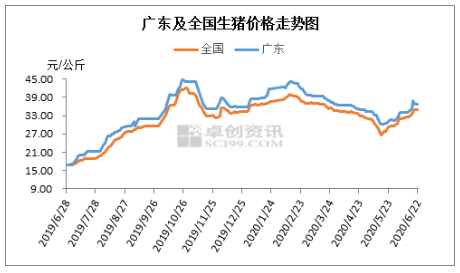广东生猪价格