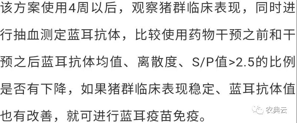 方案